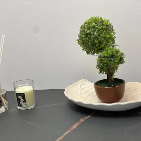 לינה וארוחת בוקר Mery Center