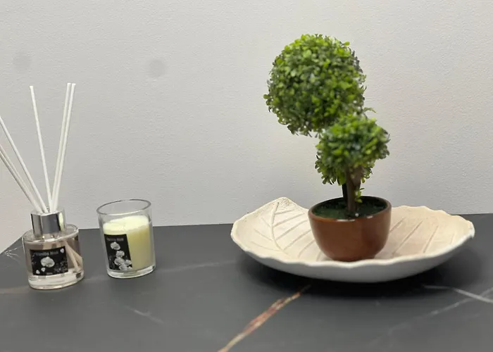 לינה וארוחת בוקר Mery Center